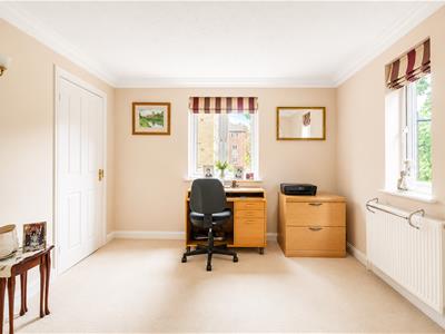 Picture 8